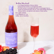 $45 FLASH SALE: Cosmo & Bellini Bottle Bundle