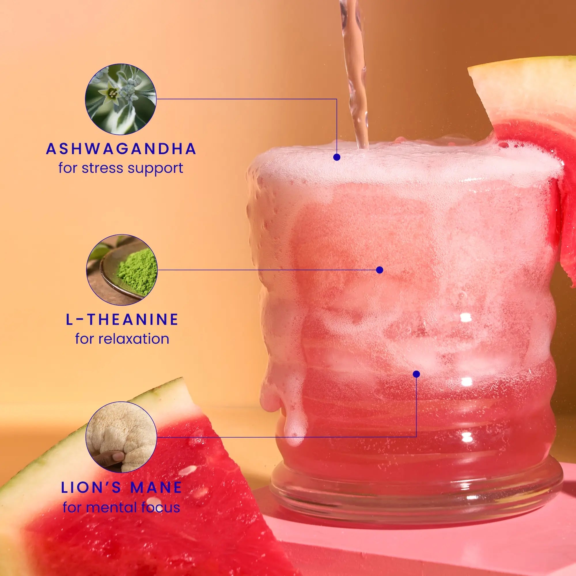 Juicy Watermelon Spritz