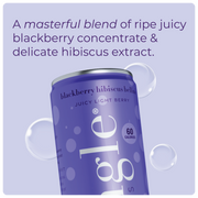 Blackberry Hibiscus Bellini